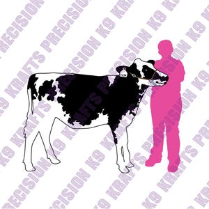 Junior showmanship, dairy cow, calf, Holstein, Youth Handler, DXF, PNG, SVG, Ai, eps,