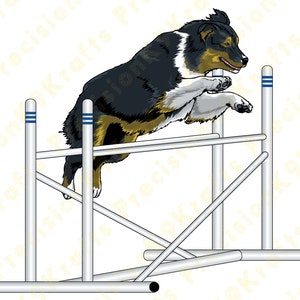 May include: A black and brown Australian Shepherd dog jumping over a silver agility hurdle. The dog is in mid-air with its paws extended. The hurdle is made of metal poles and has blue and white stripes.