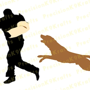Malinois lunging to bite Decoy