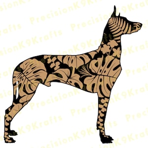 Pharaoh Hound with Tropical leaves
