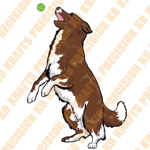 Border Collie mit Kugel, eps, dxf, ai, png