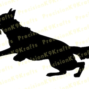 Lunging German Shepherd