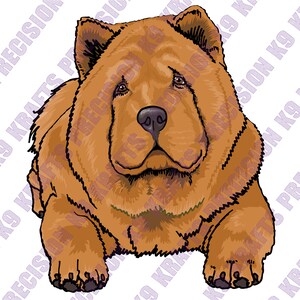 May include: A brown Chow Chow dog sitting with its front paws in front of it. The dog has a fluffy coat and a serious expression.