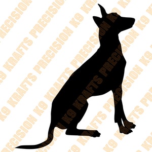Pharaoh Hound Sitting, DXF, SVG, Ai, PNG,
