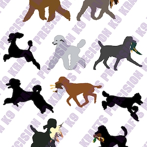 Caniche estándar, recuperación de patos, caniche de caza, perro de agua, SVG, PNG, Ai, PDF,