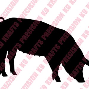pietrain, scrofa, maiale, maiale, maiale, caccia, PNG, Ai, PDF, Clipart, arte vettoriale, file tagliato,