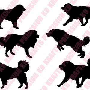 Kaukasischer Sennenhund, SVG, PNG, Ai, PDF, Clipart, Vektorkunst, Schnittdatei, dxf