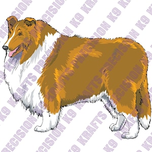Sable Rough Collie, Collie, pastore, Svg, Dxf, Png