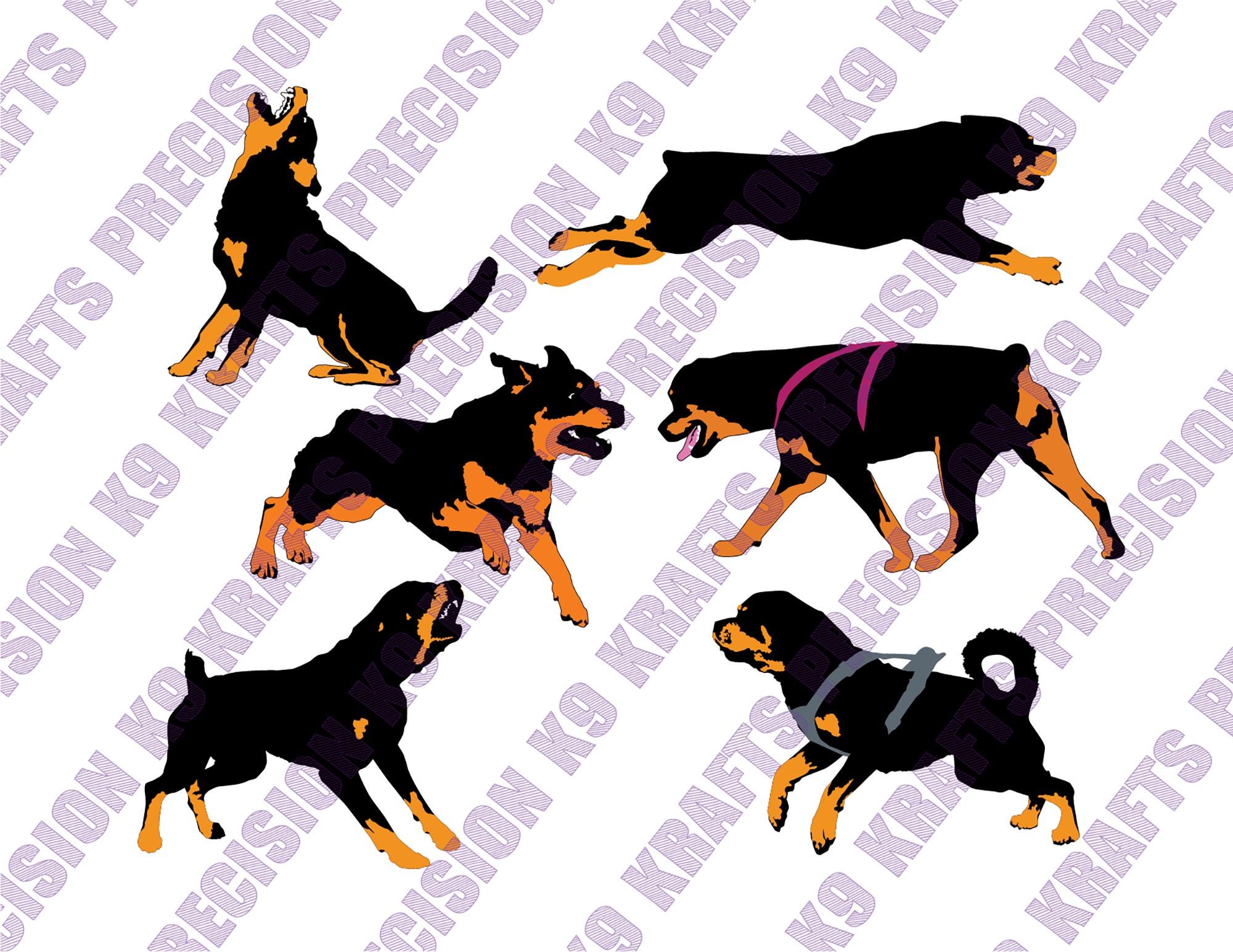 Working Rottweilers, SVG, PNG, Ai, PDF, Clipart, Vector Art, Cut File ...