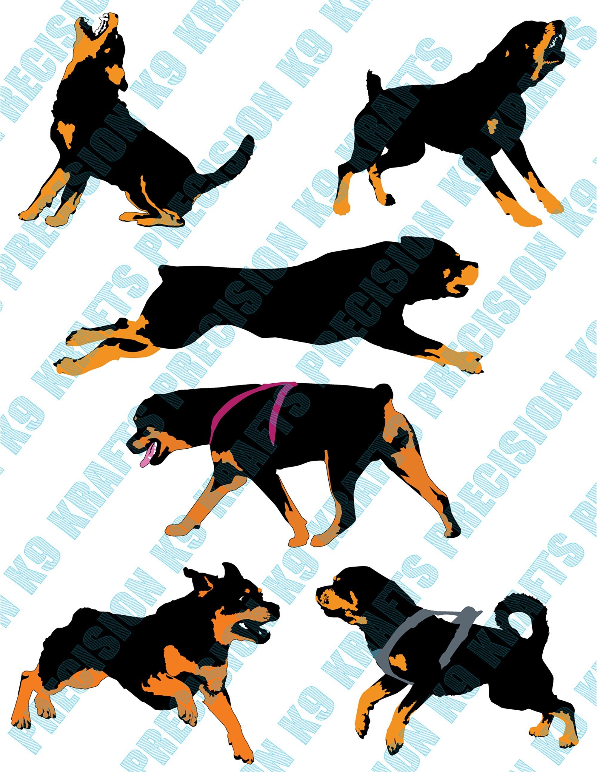 Working Rottweilers, SVG, PNG, Ai, PDF, Clipart, Vector Art, Cut File ...