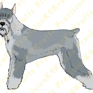 Giant Schnauzer, Schnauzer,