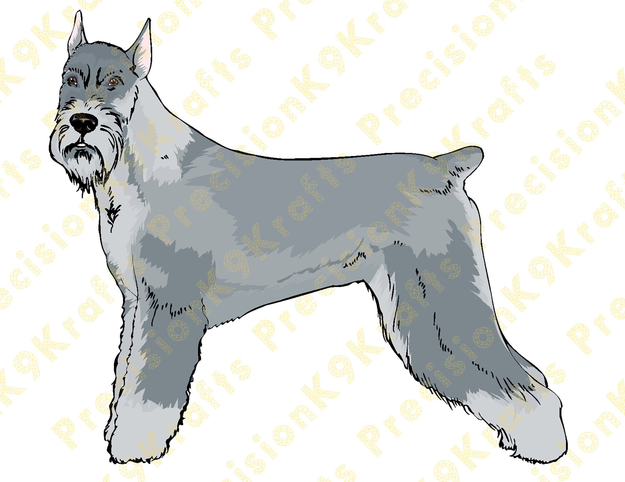 Giant Schnauzer, Schnauzer, New Zealand