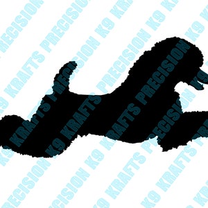 Standard Poodle, Poodle, obedience, Jumping, SVG, Ai, PDF, PNG, cut file, vector, clip art,