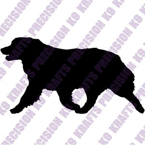 Gaiting Australian Shepherd, Aussie, eps, png, svg, ai, dxf