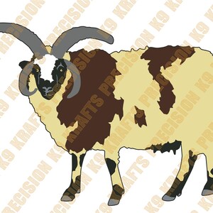 Jakob får, 4 horn, hjord, baggar, flock, vallning, SVG, PNG, Ai, PDF, DxF,