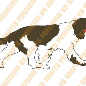 English Springer Spaniel, Springer, spaniel, walking, PNG, Ai, PDF,