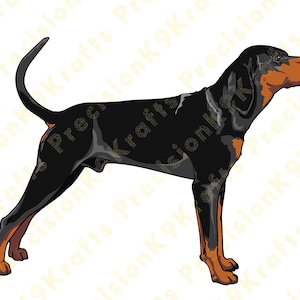 Black and Tan Coonhound