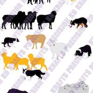 gregge, border collie, cani da stock, cane da lavoro, pastore, SVG, PNG, Ai, PDF, Clipart, arte vettoriale, file di taglio,