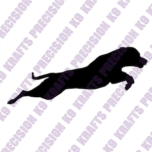 American bulldog, Am Bulldog, agility, dock jumping, SVG, PNG, Ai, PDF,