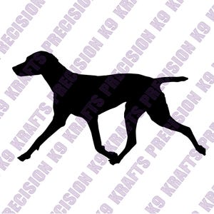 Vizsla, pointer, Birddog, hunting, Hungarian, show dog, IPO, IPG, SVG, PnG, Ai, PdF, Dxf