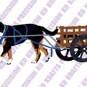 Großer Schweizer Sennenhund, Schweizer, Kart, Zughund, Arbeitshund, Bauernhofhund