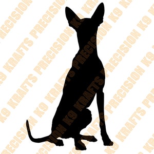 Pharaoh Hound sit, DXF, SVG, ai, png, eps,