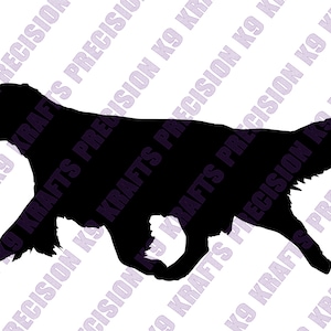 Golden Retriever de marcha, Conformação, exibição de cães, svg, ai, eps, dxf