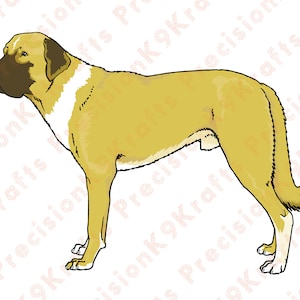 Anatolian Shepherd, livestock dog, guardian breed