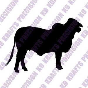 Brahman cow, cattle, cow, Livestock, Png, Ai, PDF, DXF, SVG,