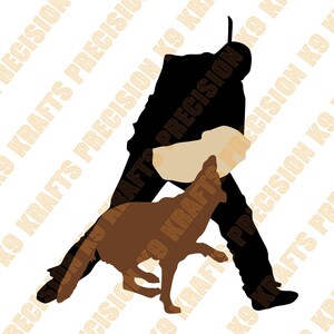 Helper driving Malinois