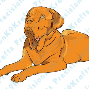 Dogue De Bordeaux, Franse Mastiff, puppy