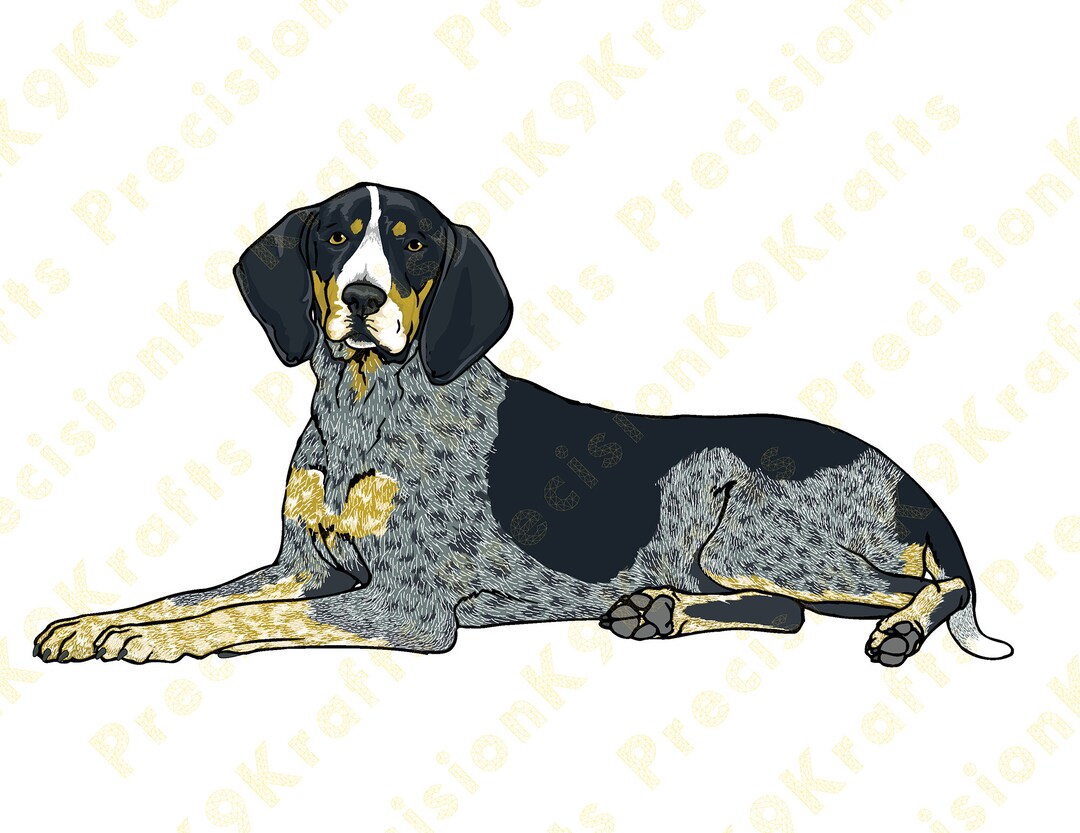 Blue Tick Hound, Coonhound - Etsy