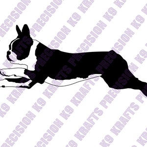 Boston Terrier, Boston, American Gentleman, Agility, Jump, Leaping, Athletic, SVG, PNG, Ai, PDF
