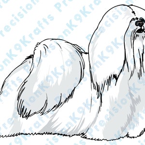 Maltese
