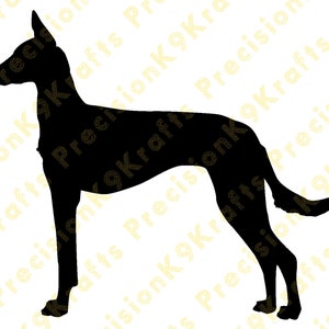 Ibizan Hound stacked, Sighthound, show dog, svg