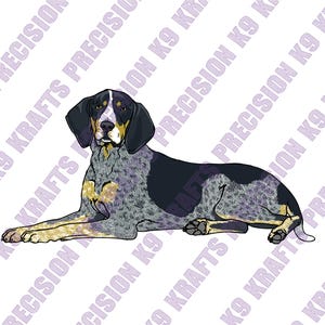 ブルーティックハウンド、クーンハウンド、狩猟犬、鹿毛犬、