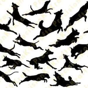 Dock jumping dogs, svg