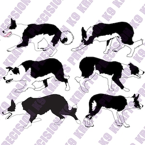 Border Collie, perro pastor, acecho, pastoreo, SVG, Ai, PDF, PNG, Dxf