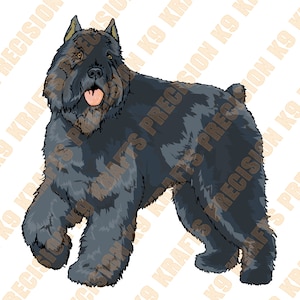 Bouvier Des Flandres, Bouvier, Bouv, élevage, SVG, DXF, EPS, png, ai, jpg