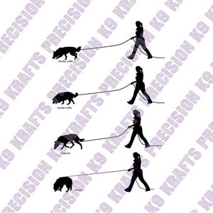 以下が含まれることがあります： 犬がリードで人に引かれているシルエットのグラフィックイラスト。犬種にはボーダーコリー、マリノア、オージーが含まれます。「Precision K9 Krafts」の文字が見えます。