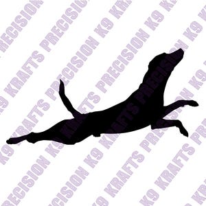 Black lab, labrador, dock jumping, svg, dxf, png,
