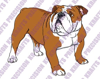 English Bulldog, bulldog, vector, illustration, clip art, sublimation
