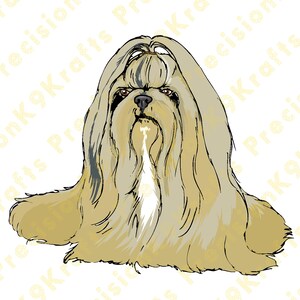 Lhasa Apso