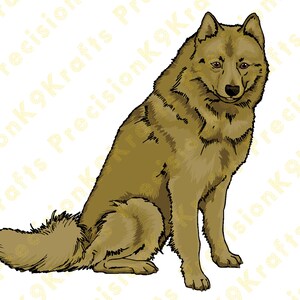 Finnish Spitz