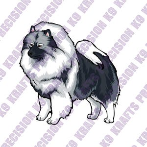 Ilustración de Keeshond: Imágenes prediseñadas vectoriales (descarga digital)