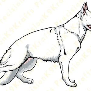 Weißer Schäferhund, Weißer Schweizer Schäferhund