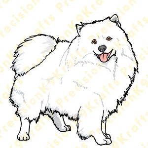 American Eskimo Dog, Eskie