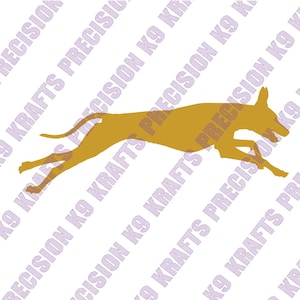 Pharaoh Hound, Coursing, racing, rare breed, svg, dxf, eps, png