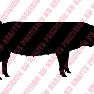 Gallese, scrofa, maiale, maiale, maiale, caccia, PNG, Ai, PDF, Clipart, arte vettoriale, file tagliato,