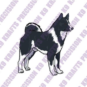 Perro de oso de Carelia, perro de trabajo, perro de caza, perro de oso,